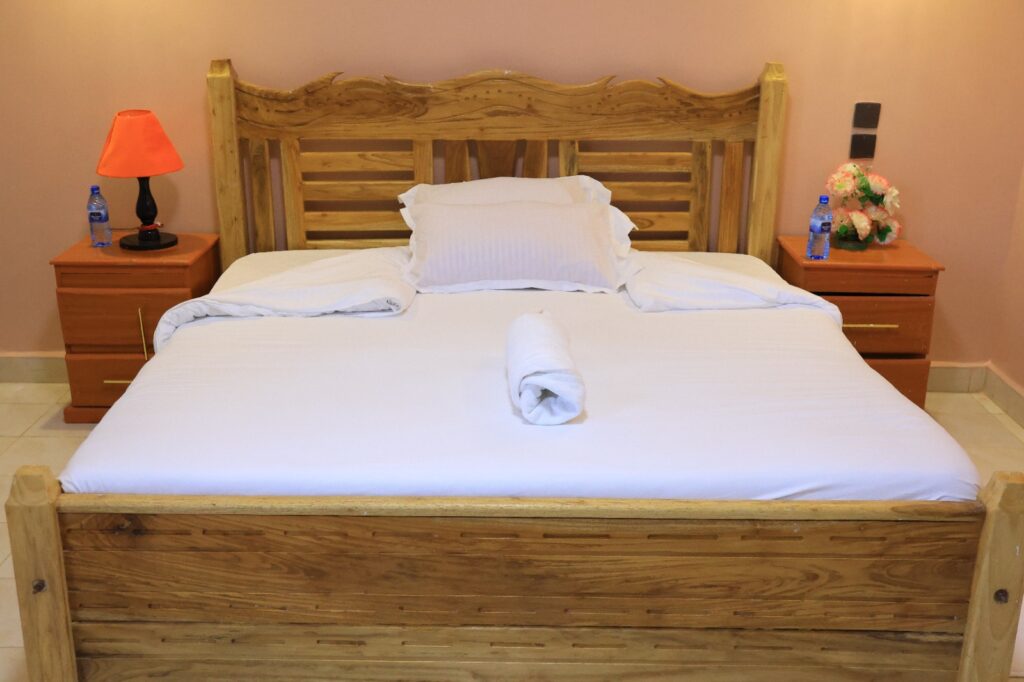 IMG 20260209 WA0020.jpg 1024x682