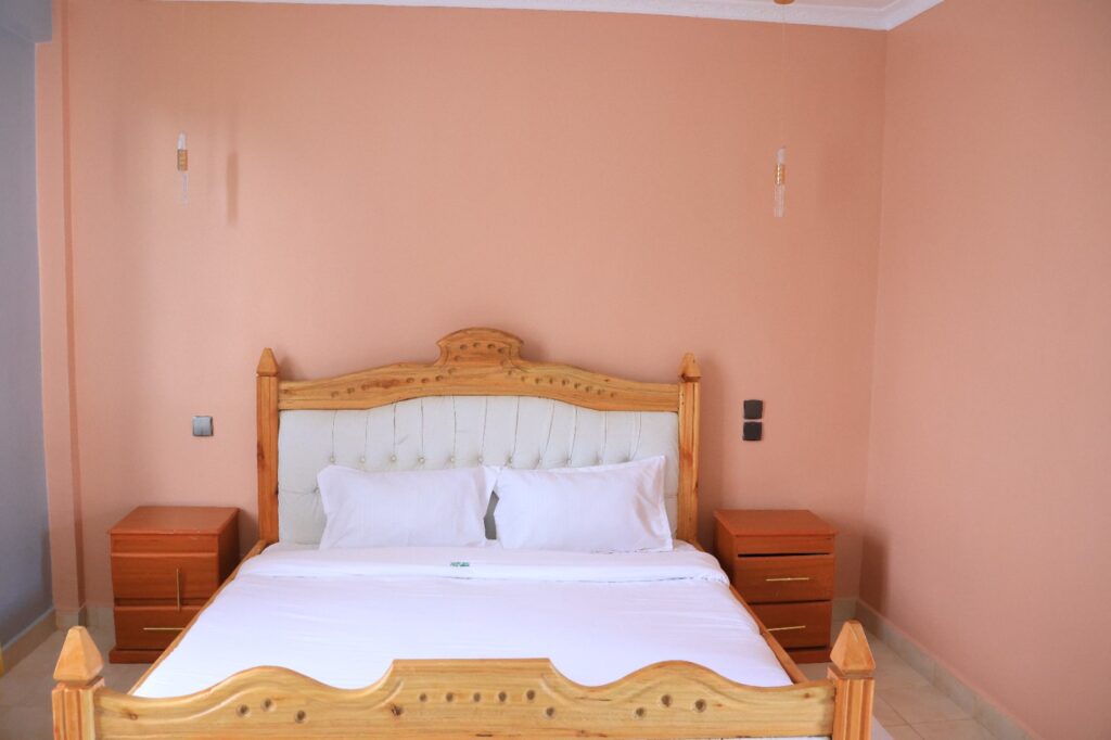 IMG 20260209 WA0050.jpg 1024x682